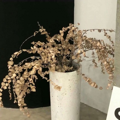 兽设草原场景绘制福瑞群